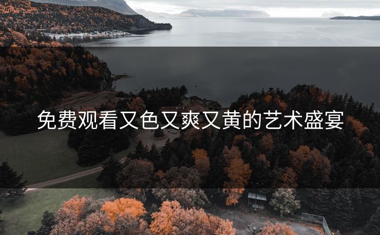 免费观看又色又爽又黄的艺术盛宴